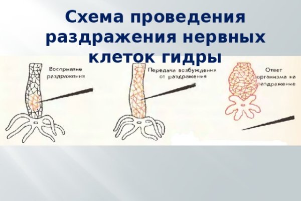 Даркнет ссылка