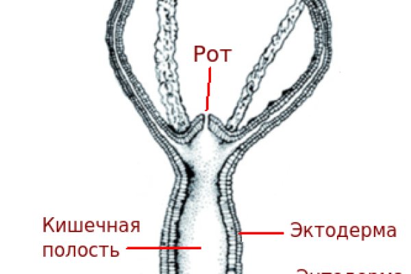 Ссылка кракен сайт зеркало