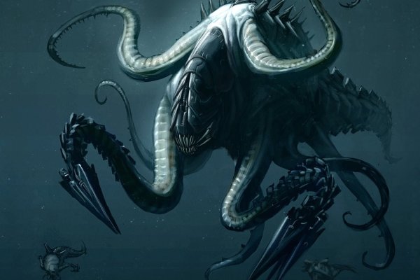 Darknet как войти