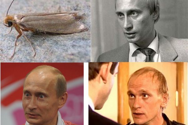 Кракен маркет что
