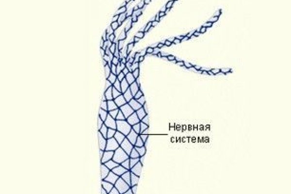 Кракен актуальная ссылка