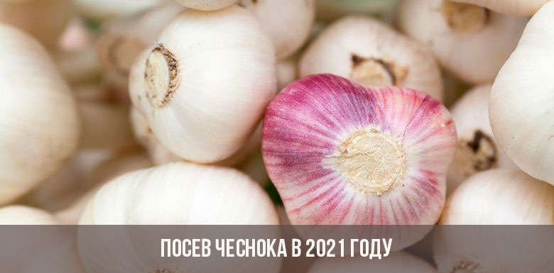Ссылки на кракен com