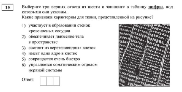 Кракен даркнет тг